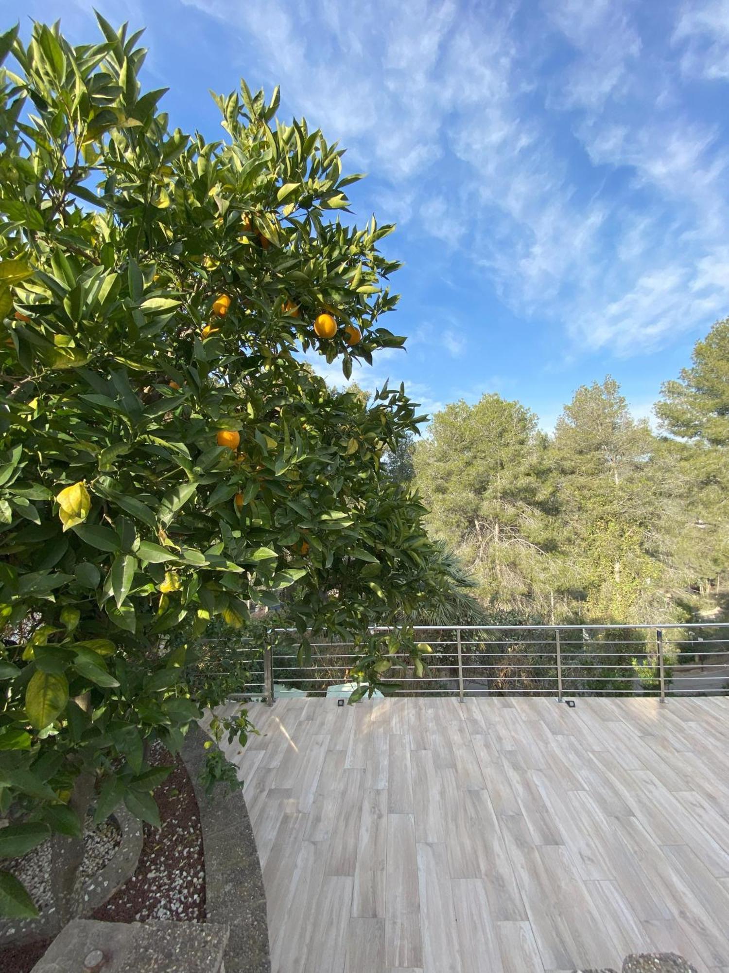 Villa Avril Piscina Privada Y Amplias Terrazas Olivella Eksteriør bilde
